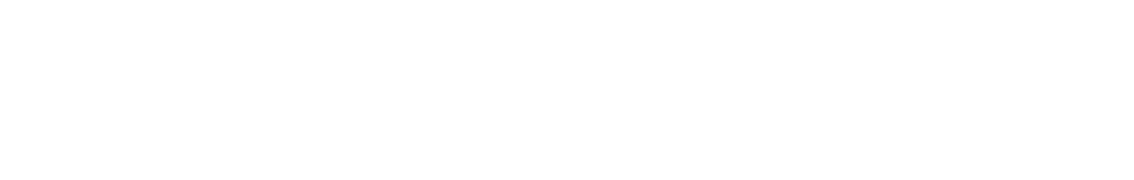 Leadneurals